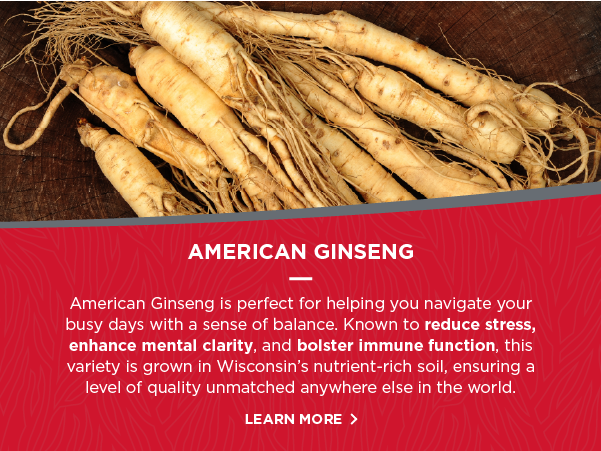Dairyland American Ginseng Roots Prongs - 8 oz Pack of Wisconsin Ginseng Root - Authentic American Ginseng Prong - Non-GMO, Gluten Free Whole Ginseng - Use This Herbal Supplement in Soup, Tea, Congee