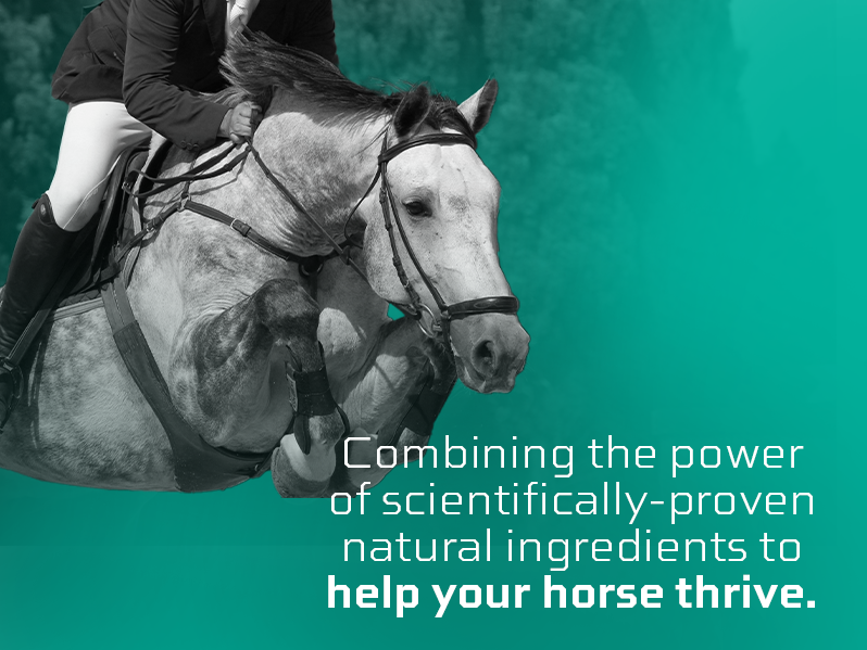 Formula 707 ULZERless Equine Supplement, 7.5lb Bag - Natural Gut Support for Horses with Ulcer Risk Factors