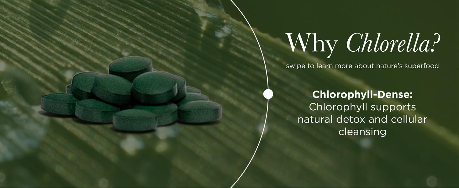 RECOVERYbits - Organic Chlorella Tablets - Plant-Based Algae Superfood - Chlorophyll - Cracked Cell Wall - Energy - Immune System - Detox - Keto - Vegan - Non-GMO - Large Canister - 1000 Tablets