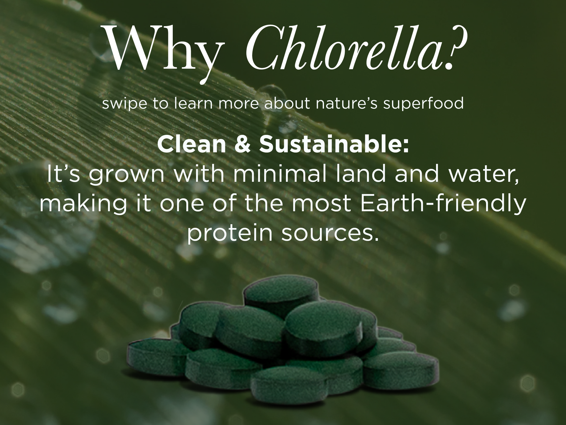 RECOVERYbits - Organic Chlorella Tablets - Plant-Based Algae Superfood - Chlorophyll - Cracked Cell Wall - Energy - Immune System - Detox - Keto - Vegan - Non-GMO - Box of 30 Pouches - 900 Tablets