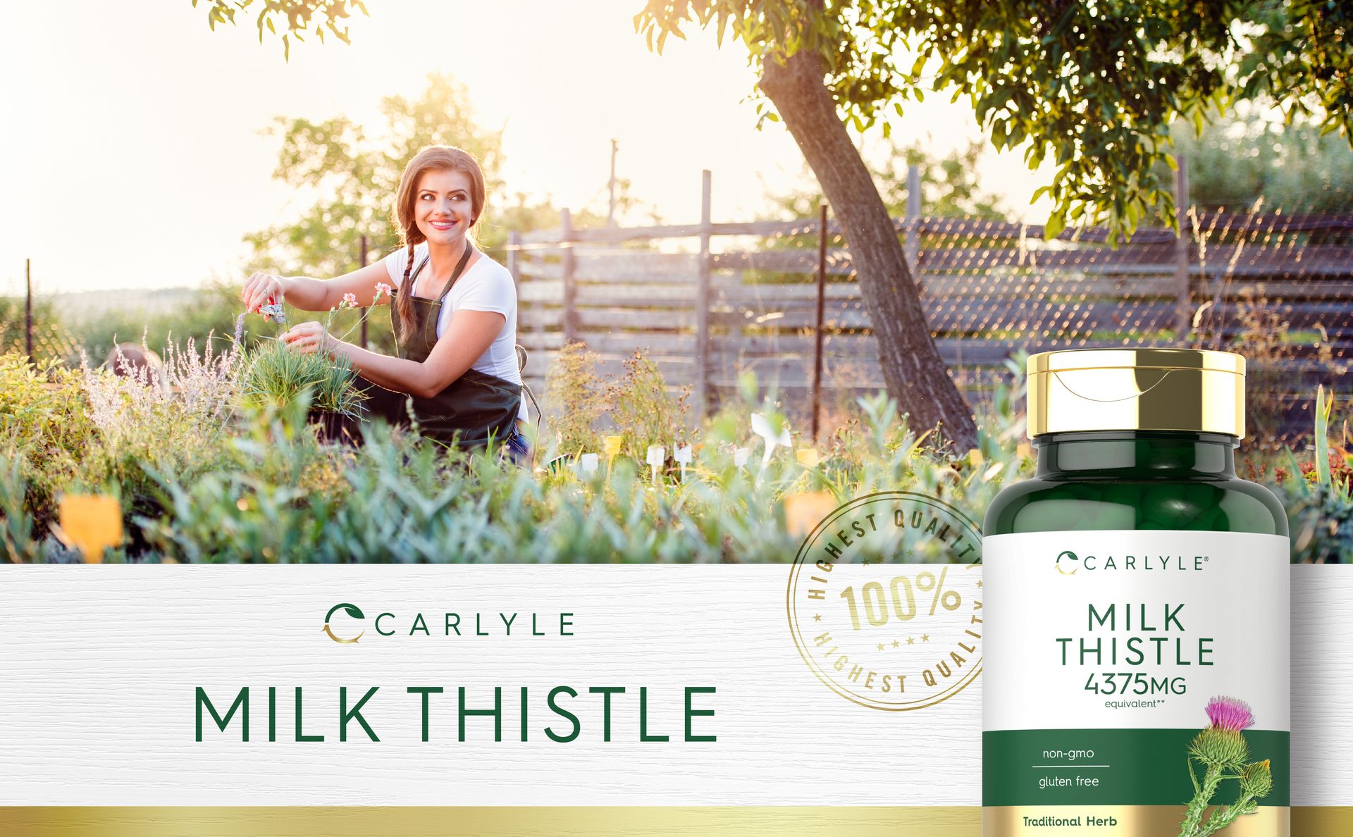 Carlyle Milk Thistle Supplement | 120 Capsules | High Potency Extract