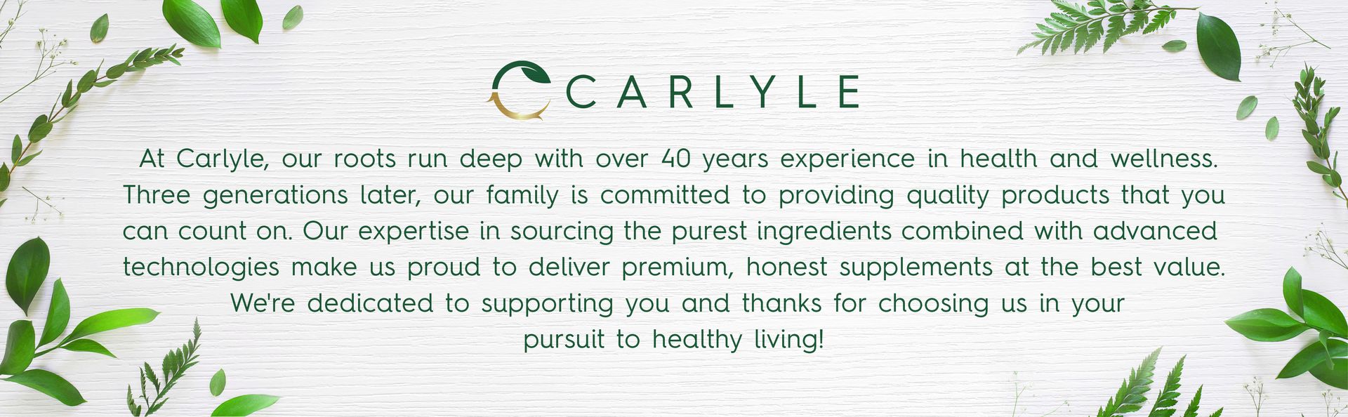 Carlyle Milk Thistle Supplement | 120 Capsules | High Potency Extract