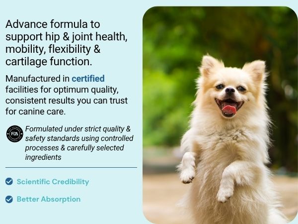 Jounce® Hip & Joint Supplement for Dogs, 30 Crunchies for Stiffness, Limping, Joint Pain & Dogs Prone to Hip Dysplasia with Collagen, Boswellia Serrata & Chondroitin for Mobility & Cartilage Support