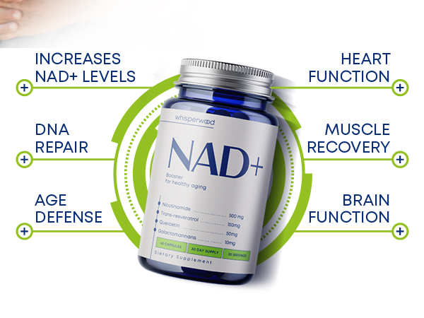 NAD+ Supplement - Nicotinamide Riboside, Resveratrol, Quercetin, Fenugreek