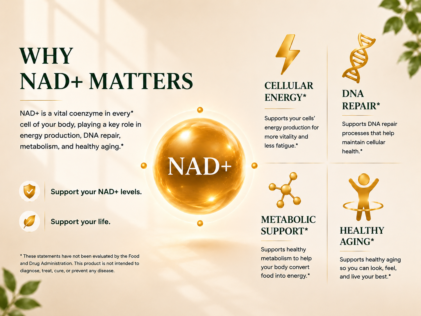 NAD Supplement 1500Mg, NAD+ Resveratrol Supplement Support Cellular Health for Women and Men, Energy & Healthy Aging, Non-GMO - 150 Count