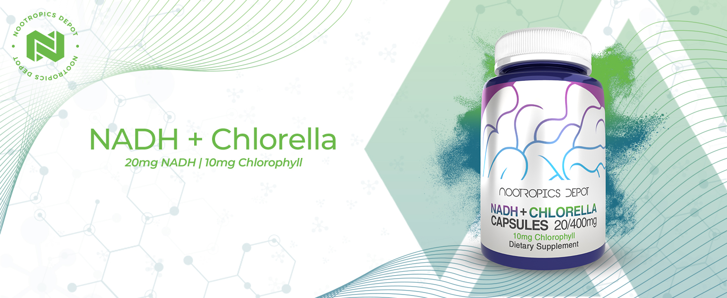 Nootropics Depot NADH + Chlorella vulgaris (Broken Cell) 400mg Capsules | Nicotinamide Adenine Dinucleotide 20mg | Chlorophyll 10mg | Energy, Alertness, Mental Clarity & Healthy Aging, 30 Count
