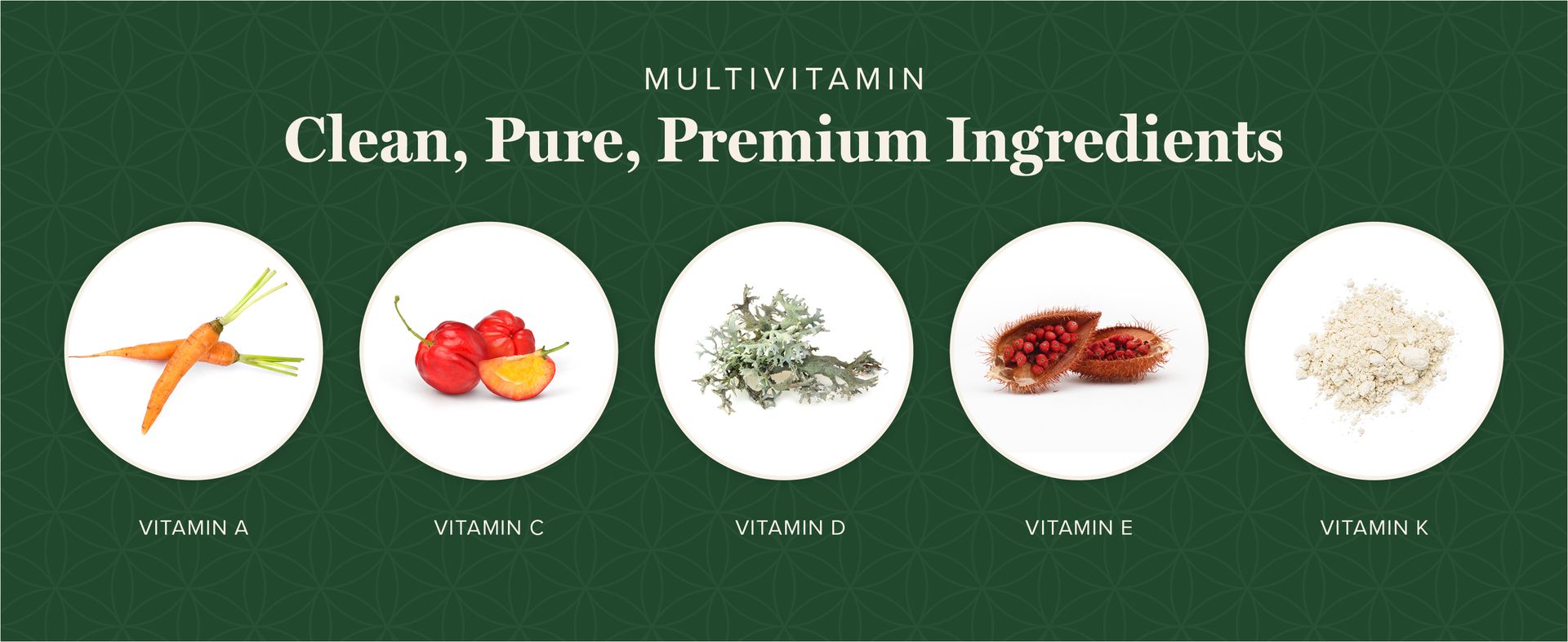 Global Healing Center - USDA Organic Multivitamin for Women & Men - Vitamins Include A, C, D, & More for Your Overall Health & Wellness Needs - Complete Daily Multi Vitamin Nourishment (120 Capsules)