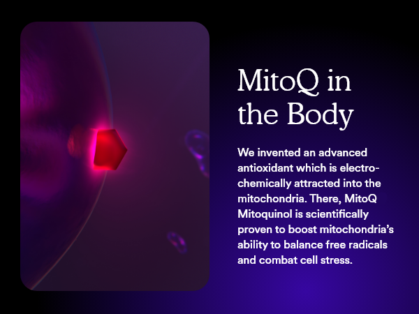 MitoQ Pure Advanced Mitochondria Supplement - CoQ10 Energy - 60 Caps
