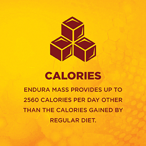 Endura Mass Weight Gainer Powder 500 G Chocolate Flavour|Unique Blend Of 3 Sources Of Protein,Carbs,Vitamins & Essential Minerals|For Children Above 10 Years,Men,Women & Athletes,1 Count,16 Servings