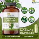 organic-moringa-capsules-120-count-pure--3.jpg