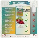 pure-pressure-50-blood-pressure-support--5.jpg