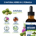 artichoke-leaf-extract-drops-for-liver-d-4.jpg