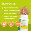 jiva-botanicals-chanca-piedra-supplement-2.jpg