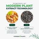 boswellia-serrata-extract-joint-support--4.jpg
