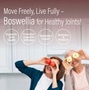 super-boswellia-serrata-with-g-fos-98-bo-6.jpg