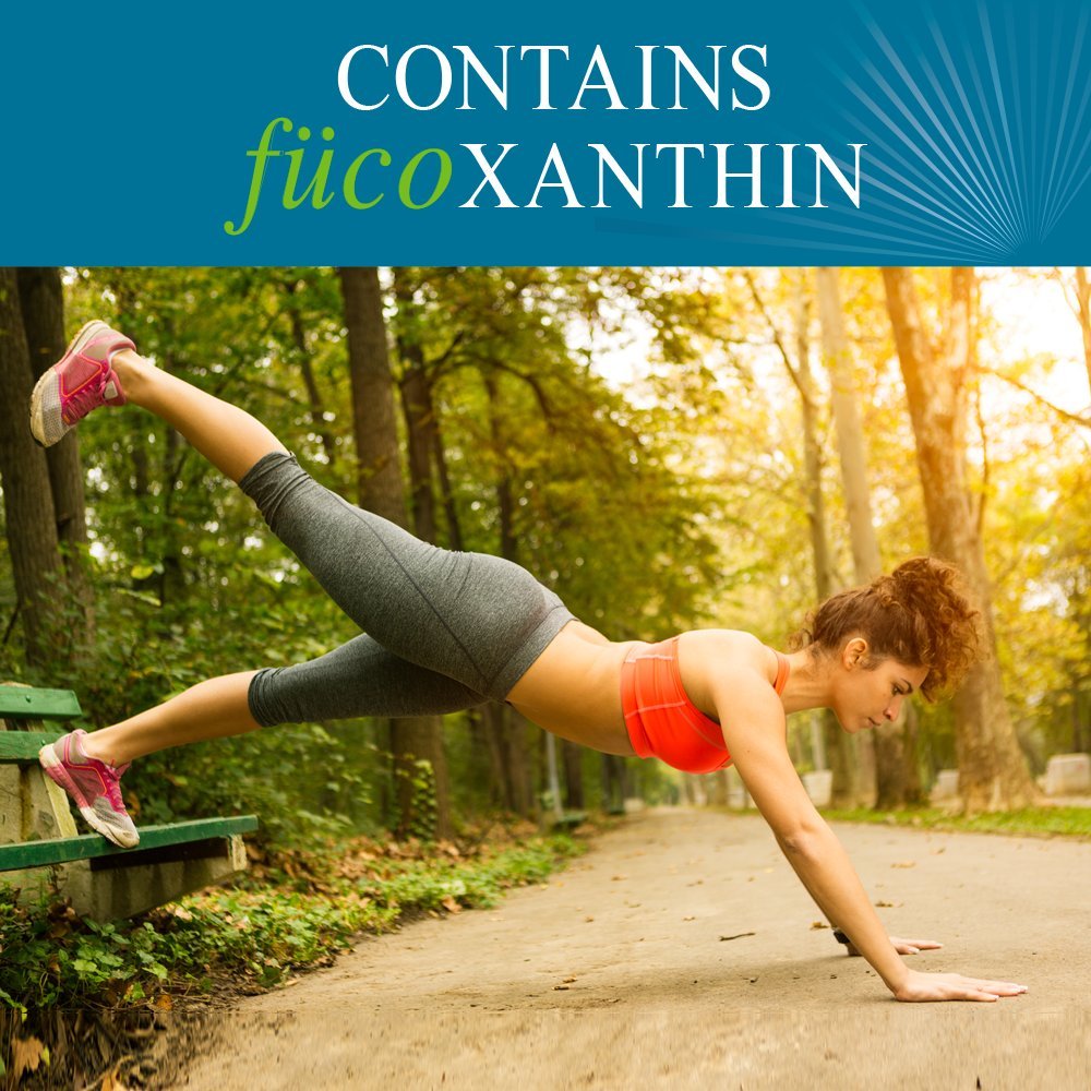 garden-of-life-fucoxanthin-supplements-f-3.jpg