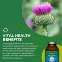 healthforce-superfoods-liver-rescue---na-6.jpg