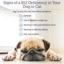 rx-vitamins-b12-for-dogs-and-cats---dog--5.jpg