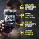 alpha-lion-superhuman-post-workout-powde-2.jpg