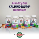 kal-kids-zinc-elderberry-dinosaurs-immun-6.jpg