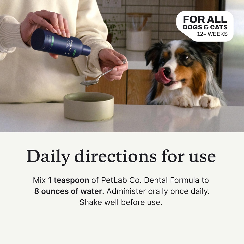 petlab-co-dog-teeth-cleaning-gut-health--5.jpg
