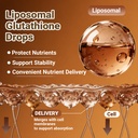 liposomal-glutathione-liquid-4-fl-oz-7-i-6.jpg