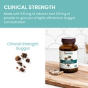 himalaya-guggul-cholesterol-supplement-f-5.jpg