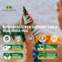 liver-support-nac-360-defense-liquid-liv-4.jpg