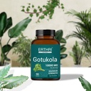 100-organic-gotu-kola-tablets-10-000mg-9-3.jpg