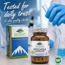 pure-mountain-botanicals-gotu-kola-capsu-5.jpg