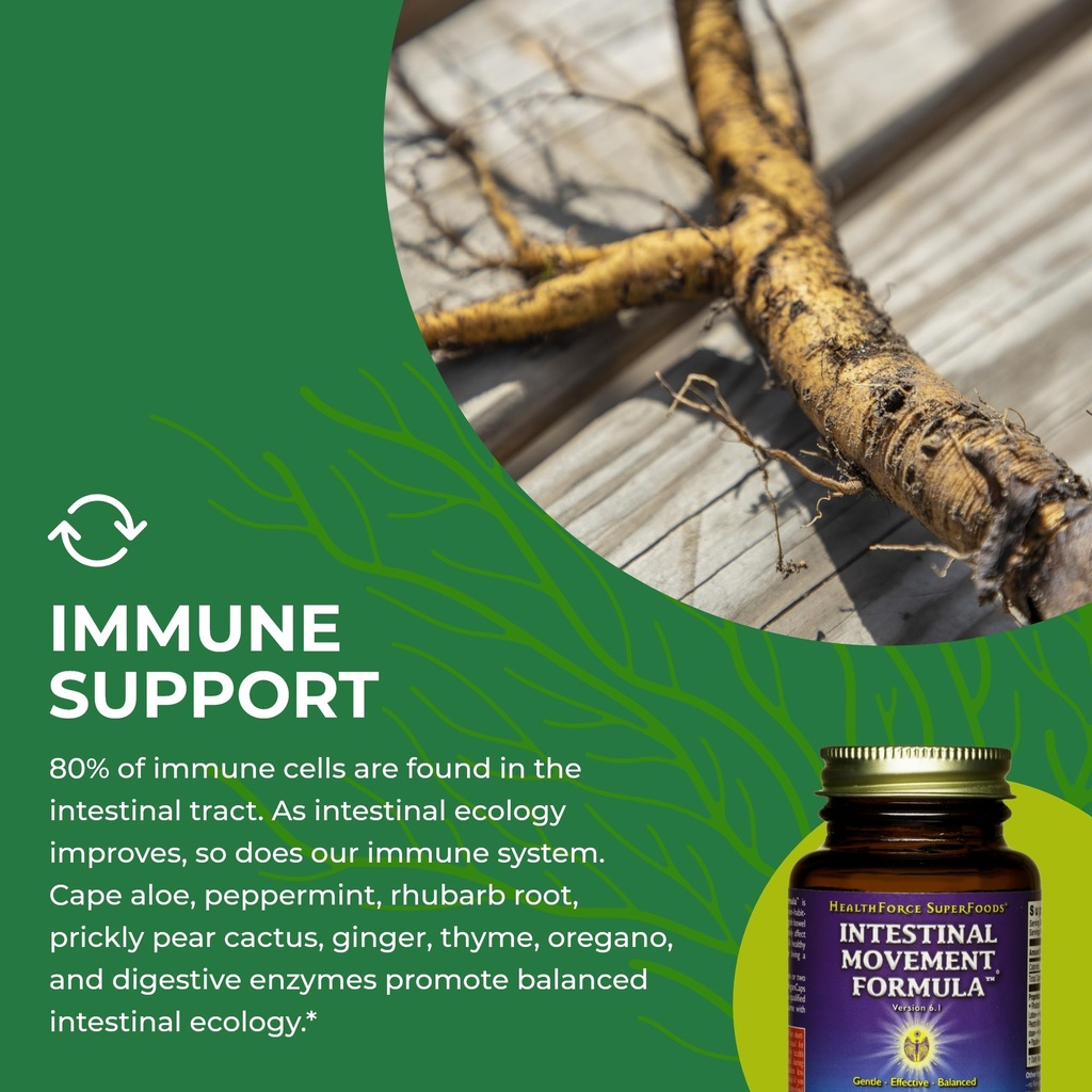 healthforce-superfoods-intestinal-moveme-6.jpg