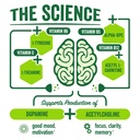 brainjuice-nootropics-brain-support-supp-3.jpg