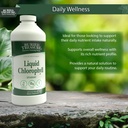 buried-treasure-liquid-chlorophyll-100-m-6.jpg