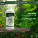 buried-treasure-liquid-chlorophyll-100-m-5.jpg