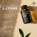 mt-angel-vitamins-premium-l-lysine-500mg-4.jpg
