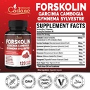 cadane-forskolin-supplement-with-garcini-2.jpg