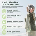 resilienz-12-longevity-supplement-stack--4.jpg