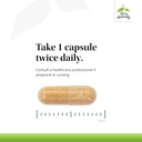 terry-naturally-rosehip-joint-comfort----4.jpg