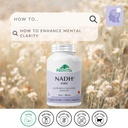provita-nadh-forte-cognitive-support-sup-2.jpg
