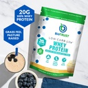 biotrust-low-carb-lite-20-grams-of-grass-2.jpg