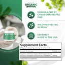 amla-powder-green-tea-superfood-suppleme-2.jpg