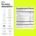 the-absorption-company-electrolyte-powde-2.jpg