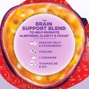the-secret-nature-of-fruit-focus-chews-r-3.jpg