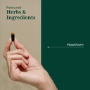 gaia-herbs-pro-hawthorn-cardiovascular-h-4.jpg