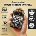 maju-superfoods-18-in-1-sea-moss-black-s-2.jpg