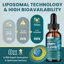liposomal-lymphatic-drainage-drops-21-in-5.jpg