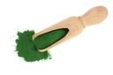 food-to-live-organic-spirulina-powder-16-6.jpg