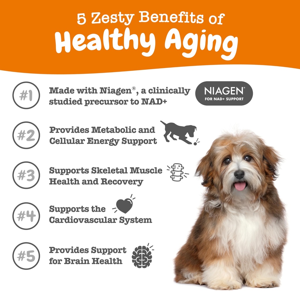zesty-paws-nad-precursor-supplement-for--2.jpg