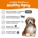 zesty-paws-nad-precursor-supplement-for--2.jpg