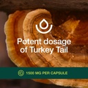 fresh-nutrition-organic-turkey-tail-mush-5.jpg